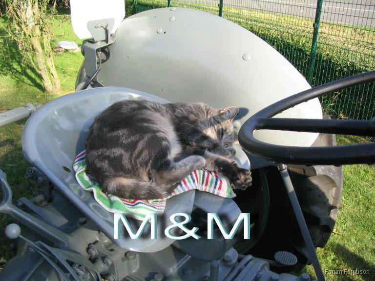 morris.jpg - Morris
